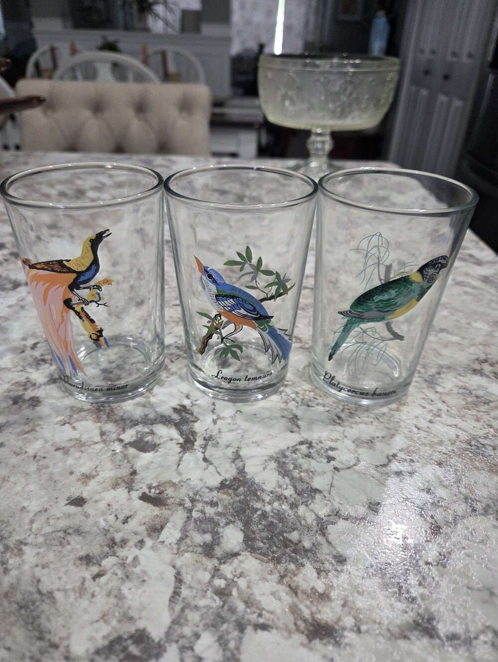 3 MCM KIG Malaysia Exotic Bird 4.25" Glasses w/ the Scientific Name of each Bird